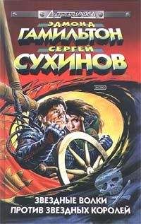 Дмитрий Политов - Небо в огне. Штурмовик из будущего