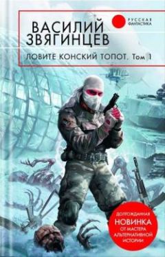 Василий Звягинцев - Большие батальоны. Том 1. Спор славян между собою