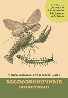 Е. Бессолицына - Биохимия метаболизма. Учебное пособие