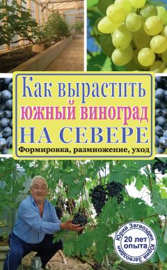 Татьяна Плотникова - Сад и огород без хлопот