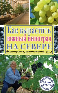 Галина Кизима - Виноград – это просто! Российские виноградники от юга до севера