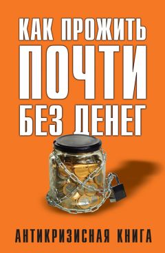 Александр Борисов - Комментарий к Федеральному закону от 27 июля 2010 г. №210-ФЗ «Об организации предоставления государственных и муниципальных услуг» (постатейный)