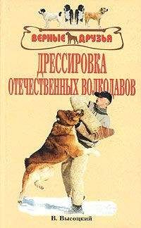 Владимир Бочаров - Дрессировка служебных собак