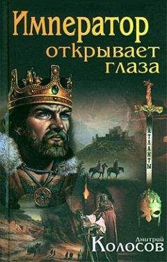 Дмитрий Шидловский - Орден. Дальняя дорога