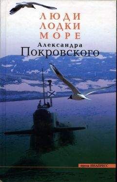 Александр Покровский - Робинзон. Инструкция по выживанию