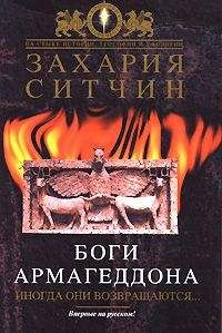 Захария Ситчин - Назад в будущее. Разгадка секретного шифра Книги Бытия