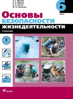 Максим Солодкий - Рабочие программы по информатике и ИКТ. ФКГОС-2004. 8-9, 10-11 классы