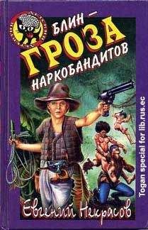 Евгений Некрасов - Блин и клад Наполеона