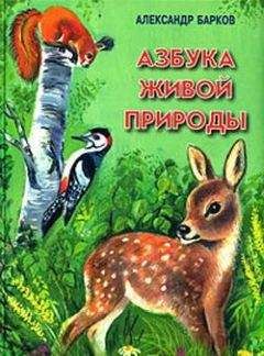 Петр Заводчиков - Девичья команда. Невыдуманные рассказы