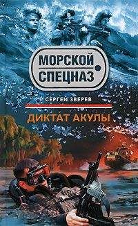 Александр Звягинцев - Молчание посвященных. Эффект бумеранга (сборник)