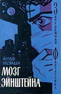 Й. Несвадба - Мозг Эйнштейна