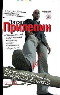 Захар Прилепин - Дорога в декабре