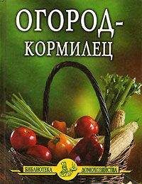 Агафья Звонарева - Огород и сад без хлопот и затрат