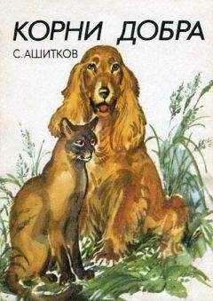 Джон МакКормак - Айболит из Алабамы. Героические будни сельского ветеринара