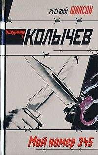 Владимир Колычев - Боксер, или Держи удар, парень