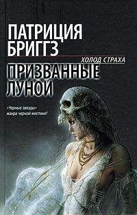 Ульрике Швайкерт - Кровная месть