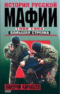 Валерий Карышев - История русской мафии. 1995-2003 гг. Большая крыша
