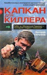 Данил Корецкий - Меч Немезиды