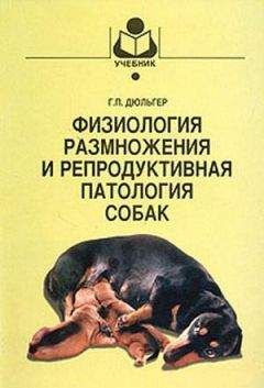 Сергей Кочетов - Современный аквариум  - техника и принадлежности