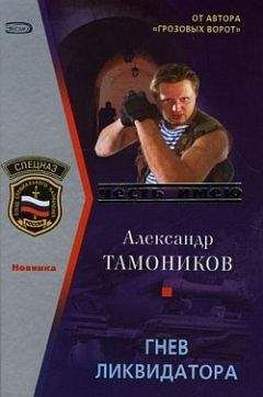 Александр Тамоников - Государственный мститель