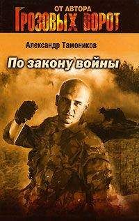 Александр Тамоников - Мститель