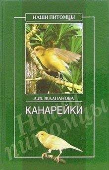 Дмитрий Карпенко - Аквариумистика. Это должен знать каждый