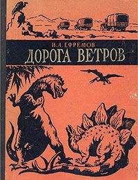Эдуард Мурзаев - Годы исканий в Азии
