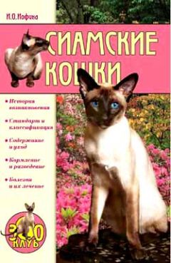 Ирина Иофина - Ваш котенок