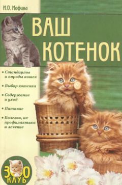 Вячеслав Харченко - Это коты