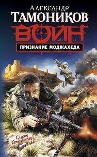 Александр Тамоников - Штурмовая Бригада