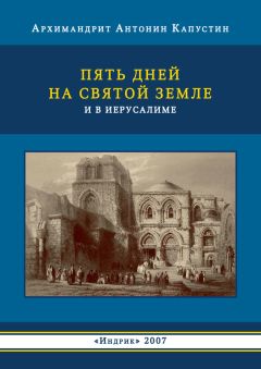 Наталья Черных - Подвижницы. Святые женщины нашего времени