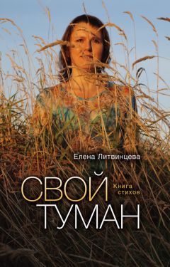 Елена Литвинцева - Свой туман