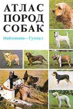 Владимир Калинин - Отечественные породы служебных собак азиатского происхождения