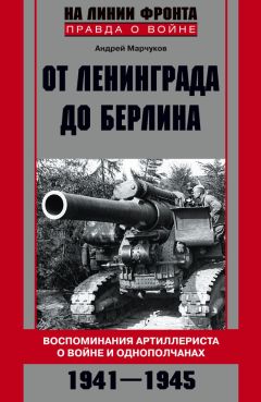 Виталий Баранов - 17-я гвардейская в боях за Родину. Великая Отечественная война