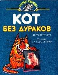 Теренс Пратчетт - Кот без дураков (пер. В.Ланчиков)