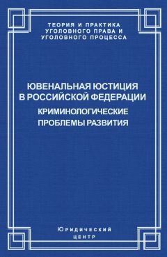  Коллектив авторов - Ювенальная юстиция в Российской Федерации. Криминологические проблемы развития