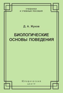Наталия Чуприкова - Психика и психические процессы. Система понятий общей психологии