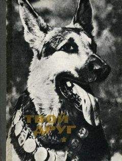 Владимир Круковер - Детская собака — о чем речь…