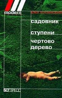 Ежи Косинский - Раскрашенная птица