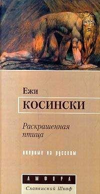 Ежи Косинский - Раскрашенная птица