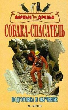 Венди Хиллинг - Моя жизнь в его лапах. Удивительная история Теда – самой заботливой собаки в мире