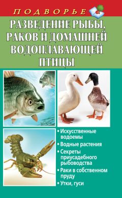 Людмила Задорожная - Разведение рыбы, раков и домашней водоплавающей птицы