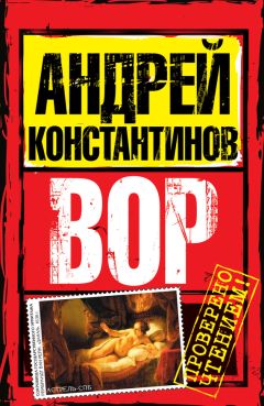 Андрей Константинов - Вор