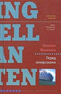 Хеннинг Манкелль - Человек, который улыбался