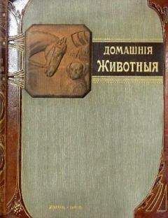 Петр Хлусов - Аквариумы и аквариумные рыбки. Опыт успешного содержания и разведения в домашних условиях