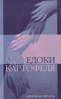 Дмитрий Бавильский - Сделано в ССССР Роман с китайцем