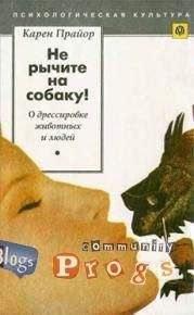 Кэт Кволс - Пойми себя и других