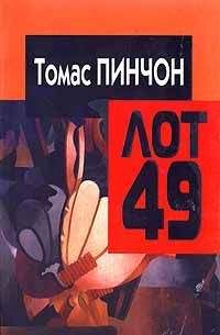 Ежи Косинский - Раскрашенная птица