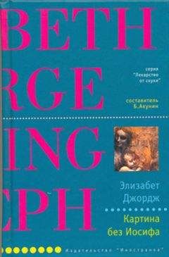 Элизабет Джордж - Картина без Иосифа