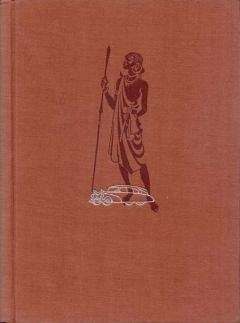 Владимир Корочанцев - Африка под покровом обычая